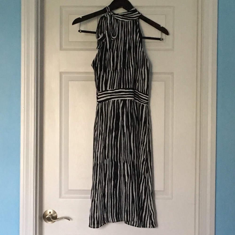 Banana Republic Zebra stripe dress